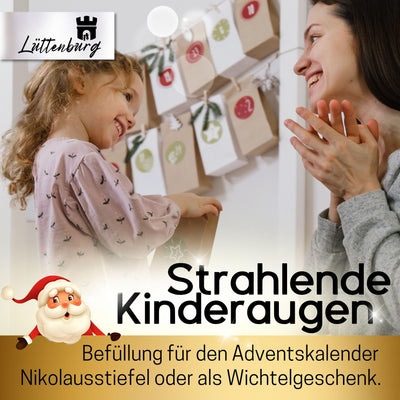 42764PP - 12er Set Taschenwärmer Rentier Rudolph