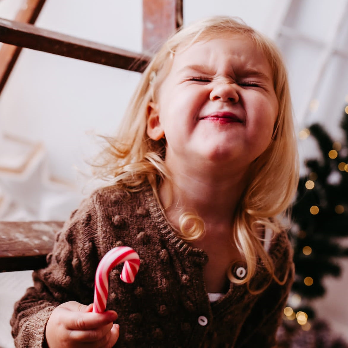 Zuckerstange Weihnachten | Baumschmuck, 48 Stück